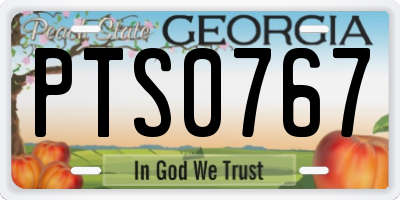 GA license plate PTS0767