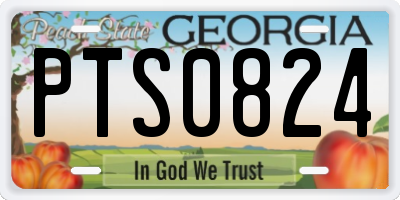 GA license plate PTS0824