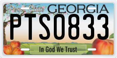 GA license plate PTS0833