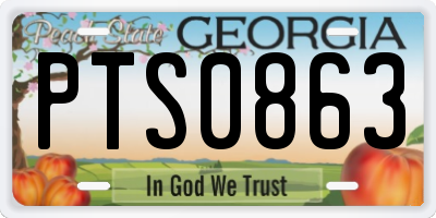 GA license plate PTS0863