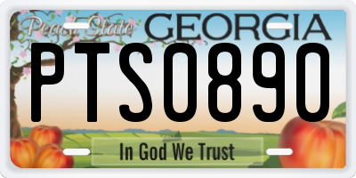 GA license plate PTS0890