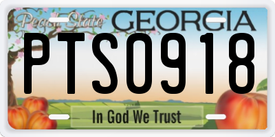 GA license plate PTS0918
