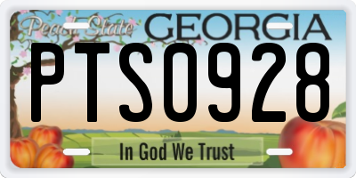 GA license plate PTS0928