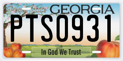 GA license plate PTS0931