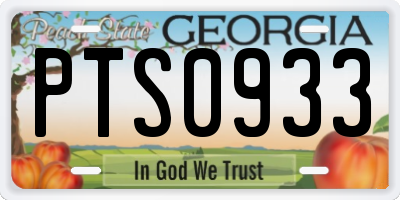 GA license plate PTS0933