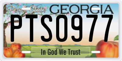 GA license plate PTS0977
