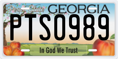 GA license plate PTS0989