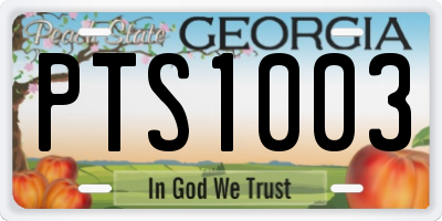 GA license plate PTS1003