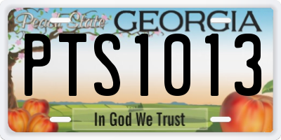 GA license plate PTS1013