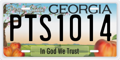 GA license plate PTS1014