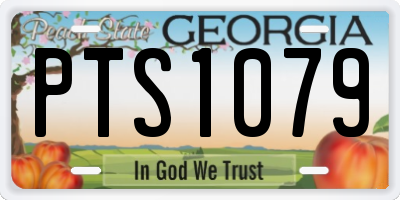 GA license plate PTS1079