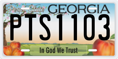 GA license plate PTS1103