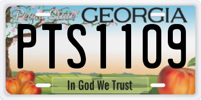 GA license plate PTS1109