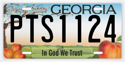 GA license plate PTS1124
