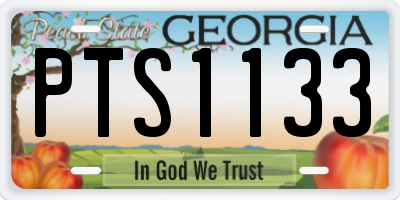 GA license plate PTS1133