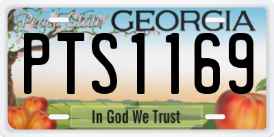 GA license plate PTS1169