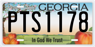 GA license plate PTS1178