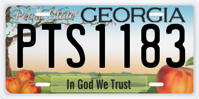 GA license plate PTS1183