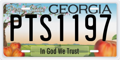 GA license plate PTS1197