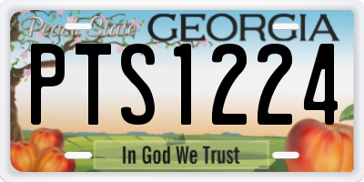 GA license plate PTS1224