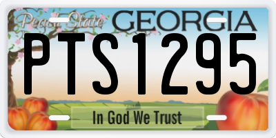 GA license plate PTS1295