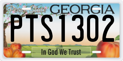 GA license plate PTS1302