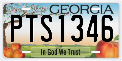 GA license plate PTS1346