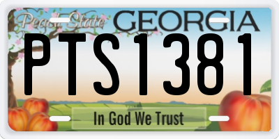 GA license plate PTS1381