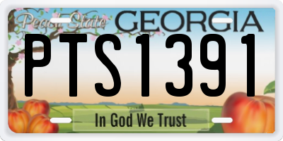 GA license plate PTS1391