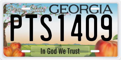 GA license plate PTS1409