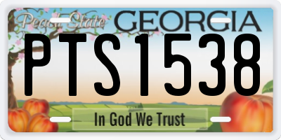 GA license plate PTS1538