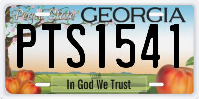 GA license plate PTS1541