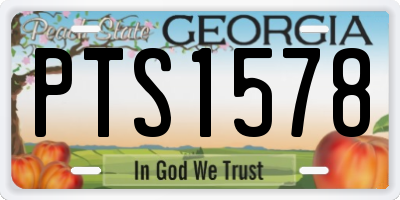 GA license plate PTS1578
