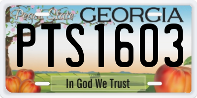 GA license plate PTS1603