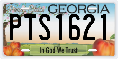GA license plate PTS1621