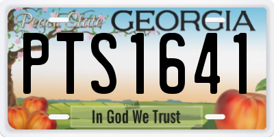 GA license plate PTS1641