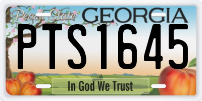 GA license plate PTS1645