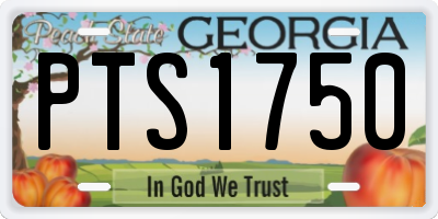 GA license plate PTS1750