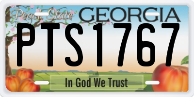 GA license plate PTS1767