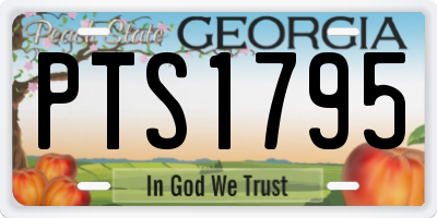 GA license plate PTS1795