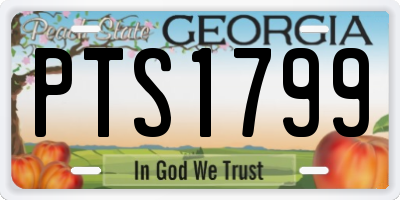 GA license plate PTS1799
