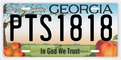 GA license plate PTS1818