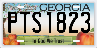 GA license plate PTS1823