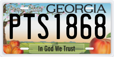 GA license plate PTS1868