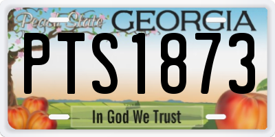 GA license plate PTS1873