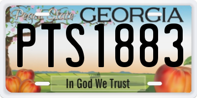GA license plate PTS1883