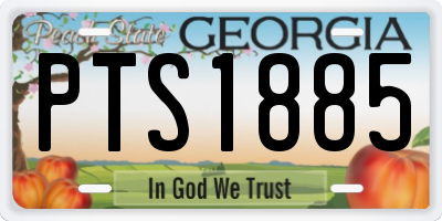 GA license plate PTS1885