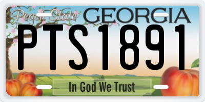 GA license plate PTS1891