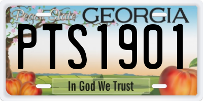 GA license plate PTS1901