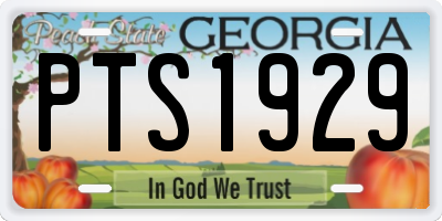 GA license plate PTS1929